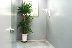 屋内運動場写真